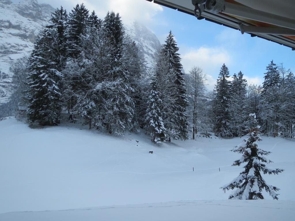 Mom - Alpine Boutique Apartments, Grindelwald Gletscher, Eiger View Terrace Studio 客房 照片