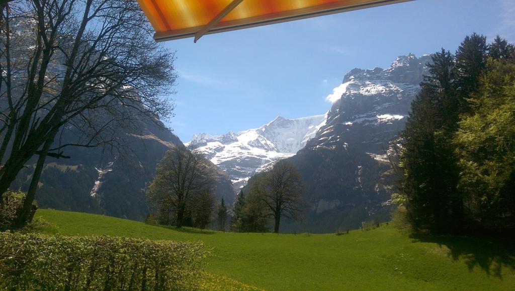 Mom - Alpine Boutique Apartments, Grindelwald Gletscher, Eiger View Terrace Studio 客房 照片