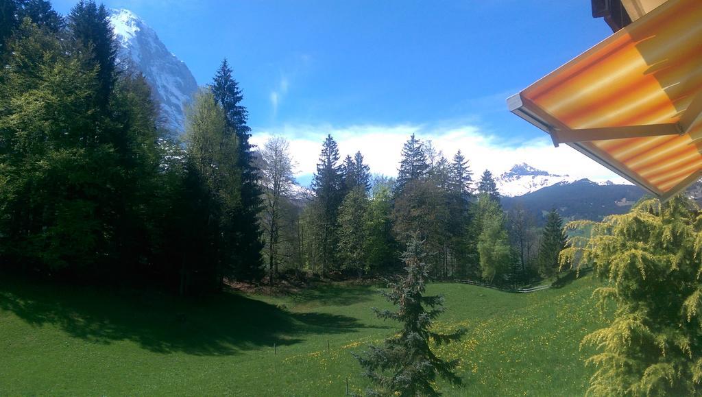 Mom - Alpine Boutique Apartments, Grindelwald Gletscher, Eiger View Terrace Studio 客房 照片