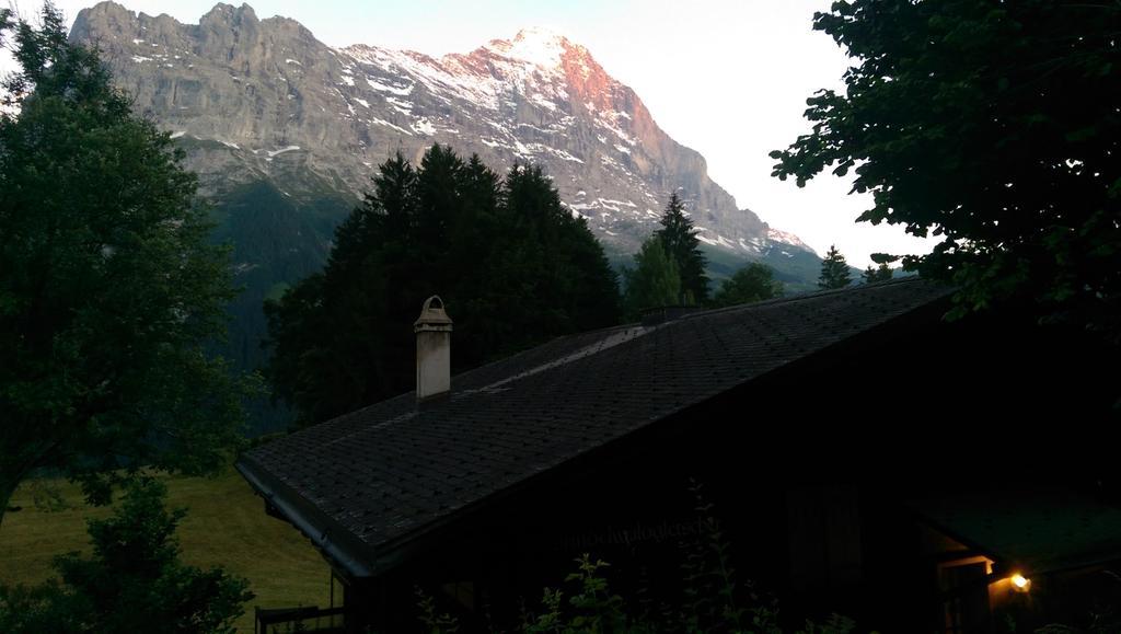 Mom - Alpine Boutique Apartments, Grindelwald Gletscher, Eiger View Terrace Studio 客房 照片