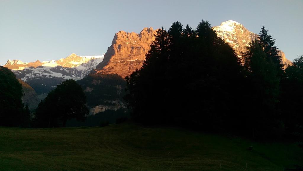 Mom - Alpine Boutique Apartments, Grindelwald Gletscher, Eiger View Terrace Studio 客房 照片