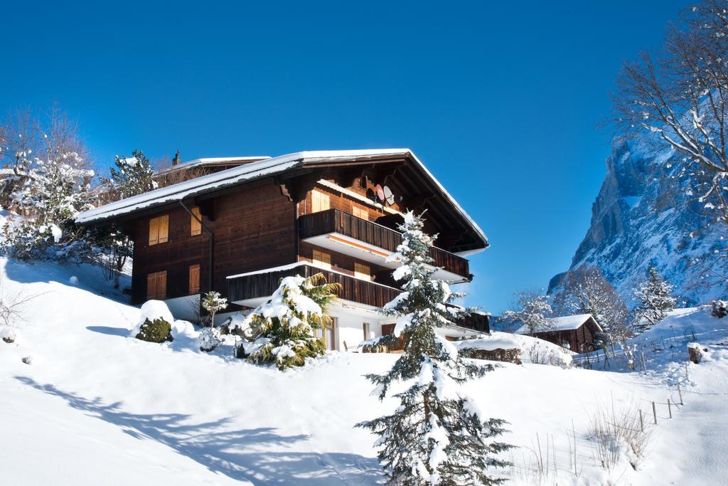 Mom - Alpine Boutique Apartments, Grindelwald Gletscher, Eiger View Terrace Studio 客房 照片