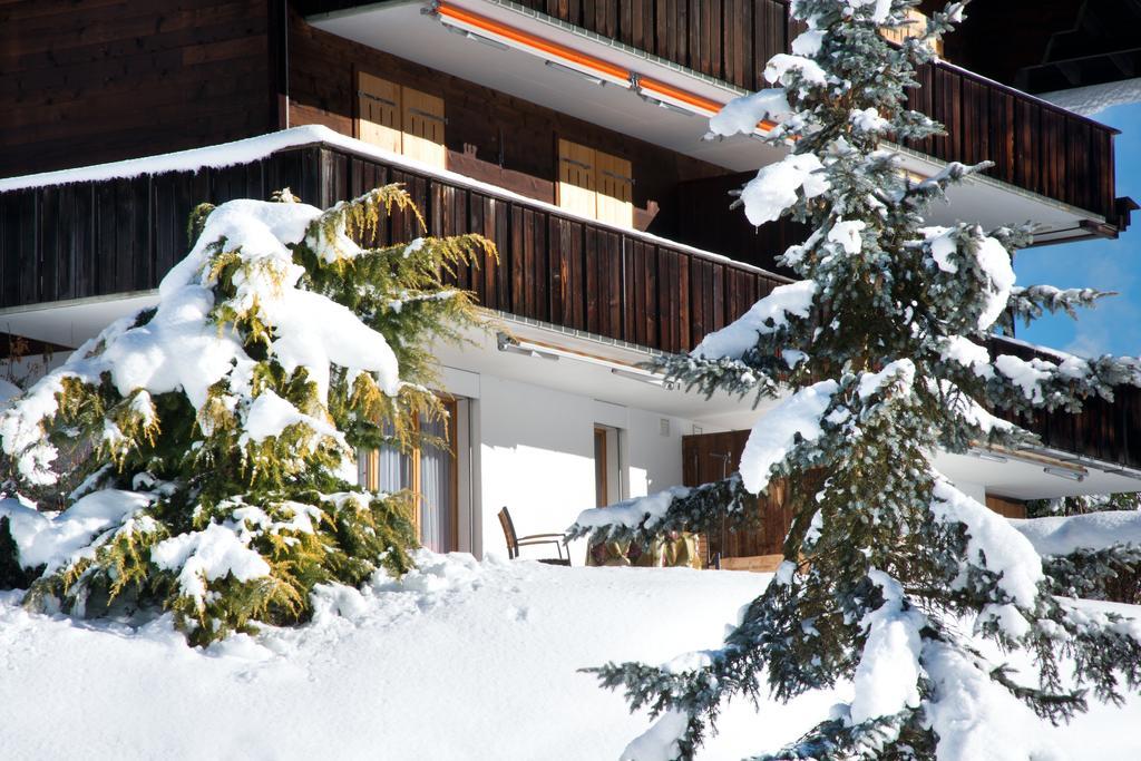 Mom - Alpine Boutique Apartments, Grindelwald Gletscher, Eiger View Terrace Studio 客房 照片