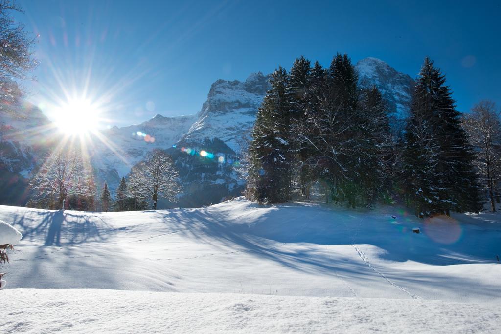 Mom - Alpine Boutique Apartments, Grindelwald Gletscher, Eiger View Terrace Studio 客房 照片